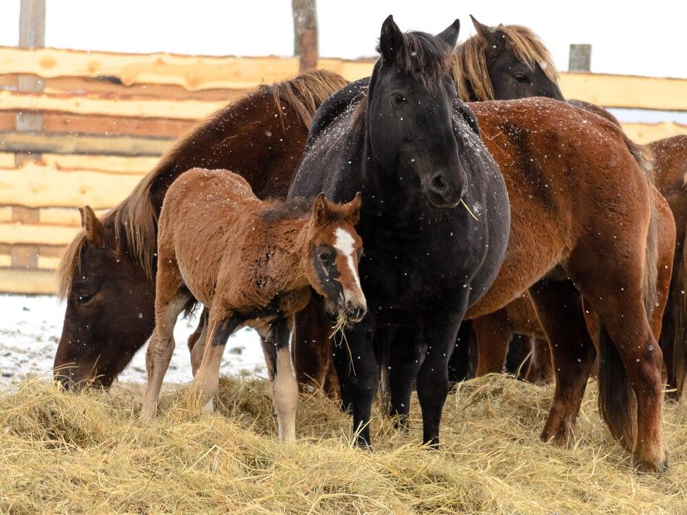 Photograph by Наталья Кокорина
