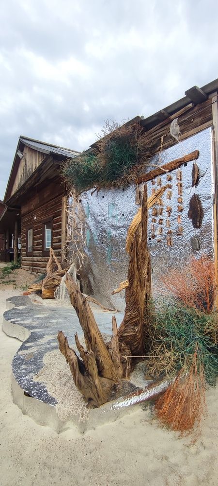 Фотография автора Оркина Ксения