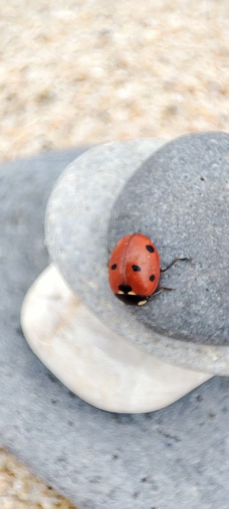 Фотография автора Оркина Ксения