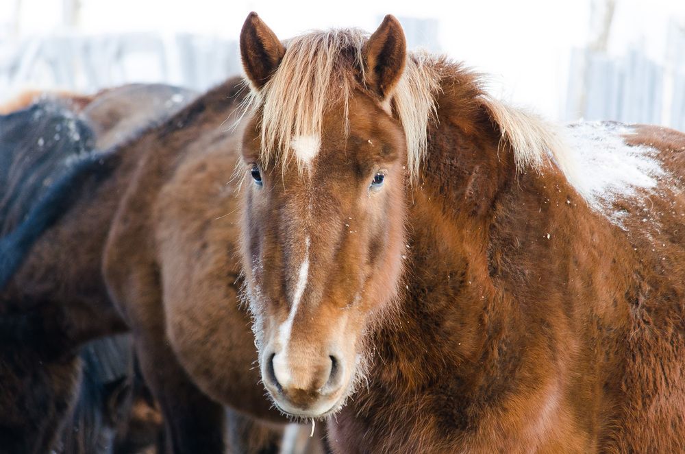 Photograph by Наталья Кокорина