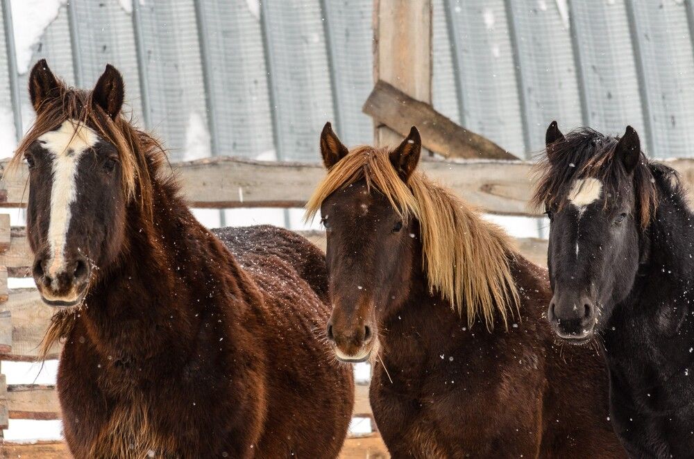 Photograph by Наталья Кокорина