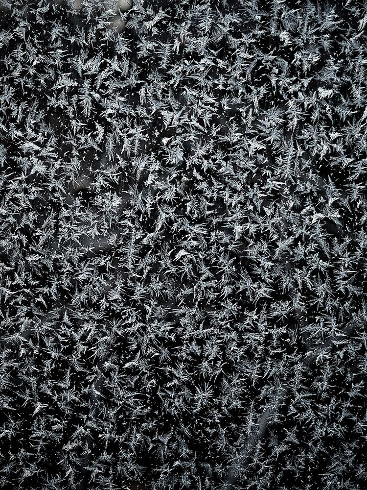 Photograph by Высотских Владимир