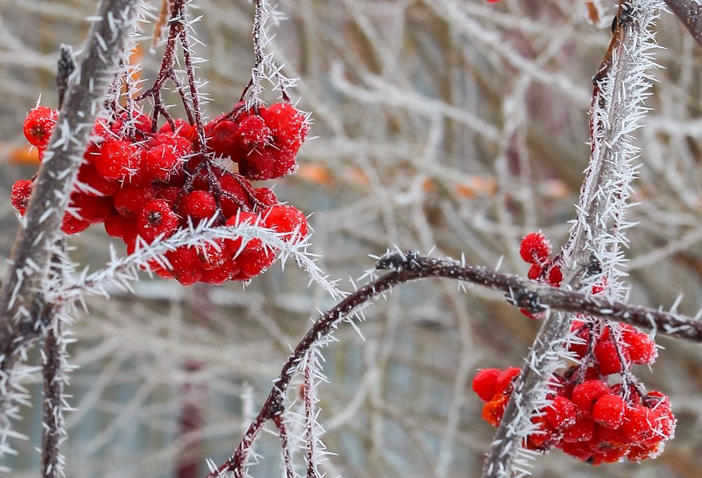 Фотография автора Дмитрий Климов