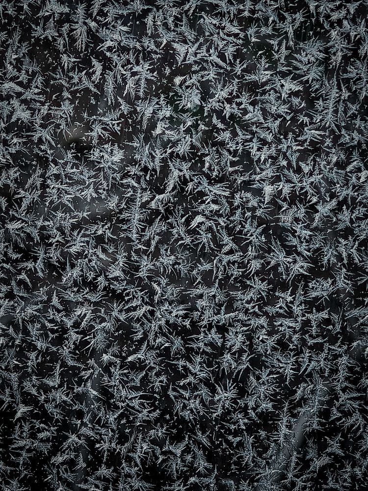 Photograph by Высотских Владимир