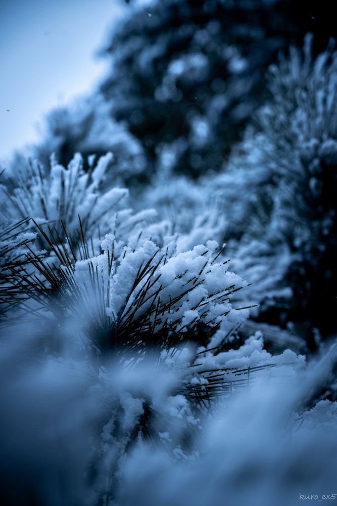 Photograph by kurodon