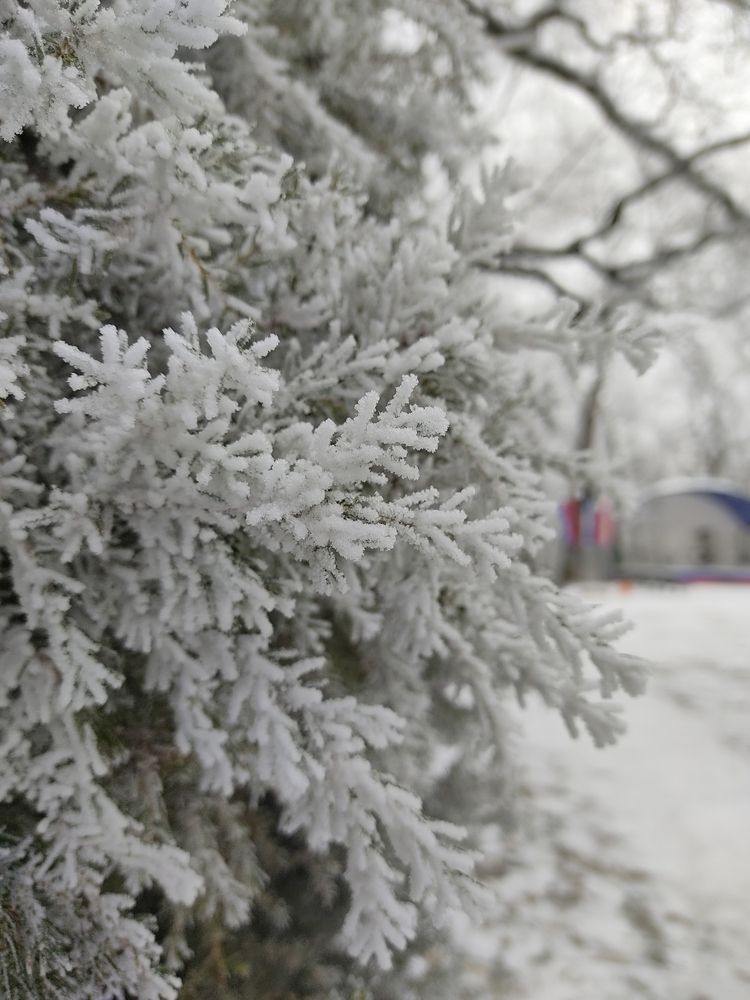 Photograph by Александра