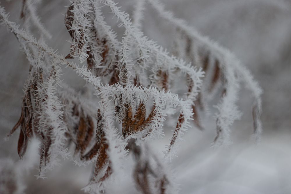 Фотография автора Екатерина Першина