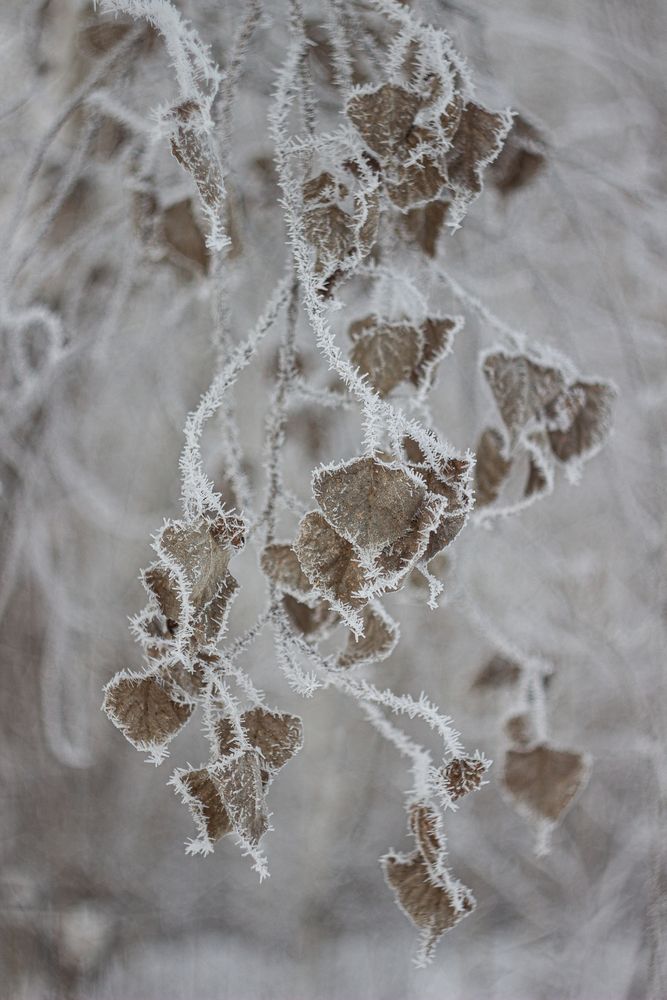 Фотография автора Екатерина Першина