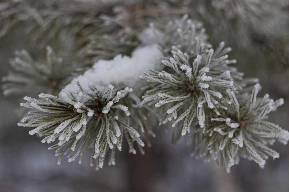 Фотография автора Екатерина Першина