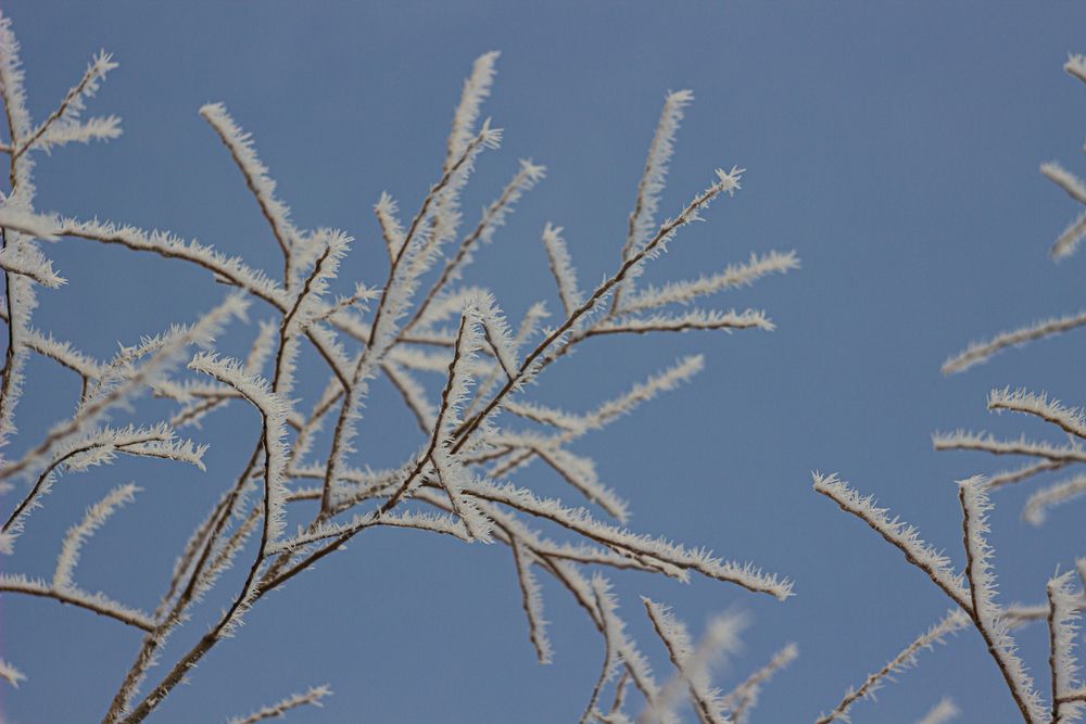 Фотография автора Екатерина Першина