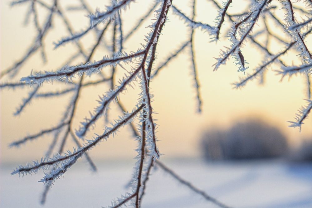 Фотография автора Екатерина Першина