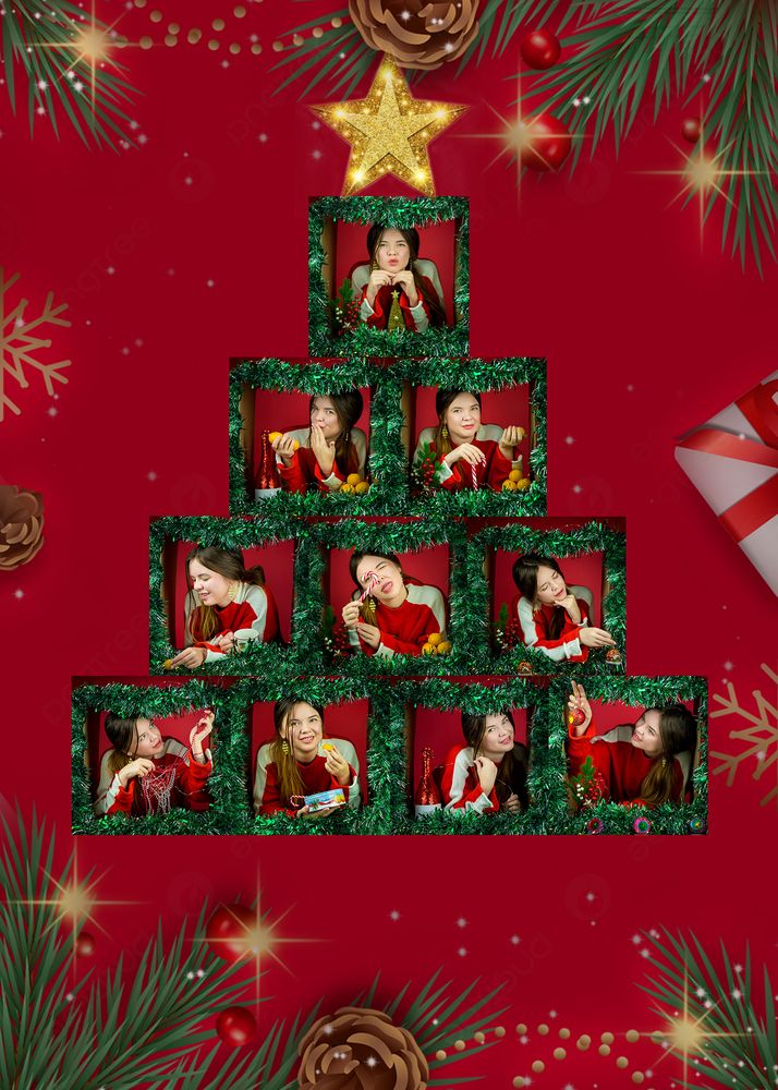 Фотография автора Василиса Новикова