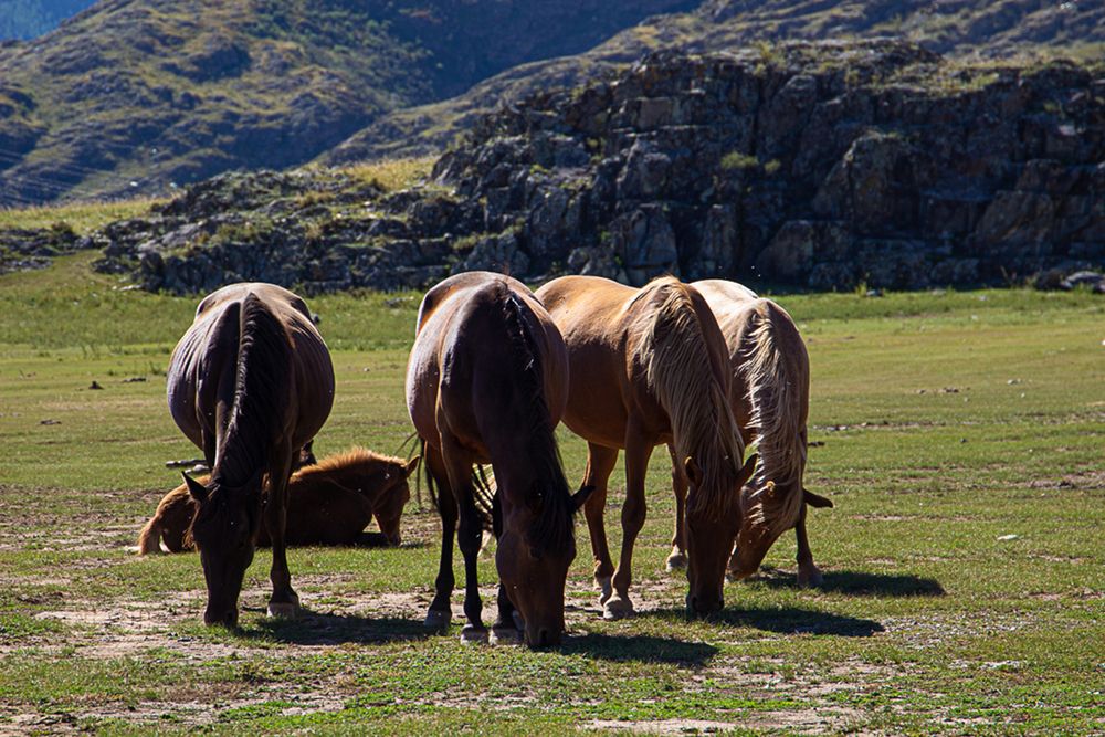 Фотография автора Екатерина Першина