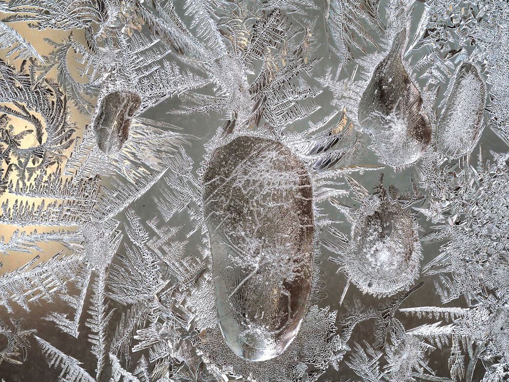 В морозный день