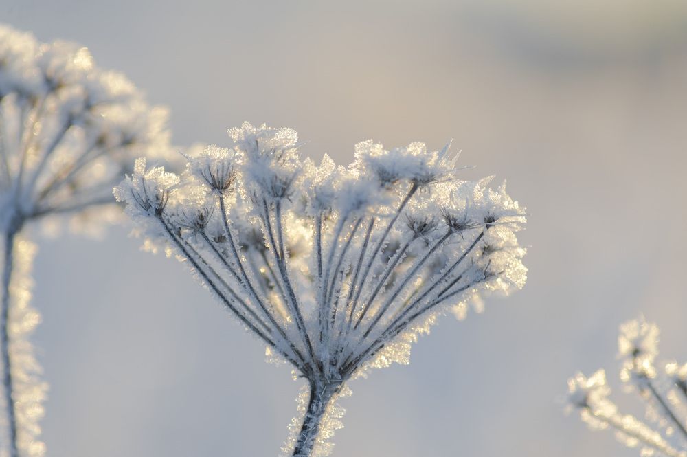 Photograph by Юрий Кухаришин