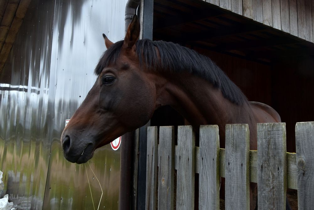 Photograph by Dimon Grinih