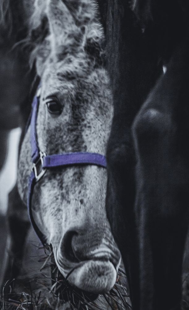 Photograph by Eugene Tsarev