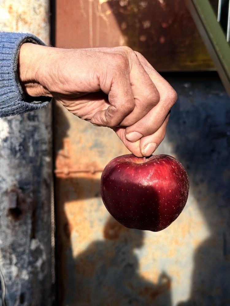 Photograph by Наталья Сережко