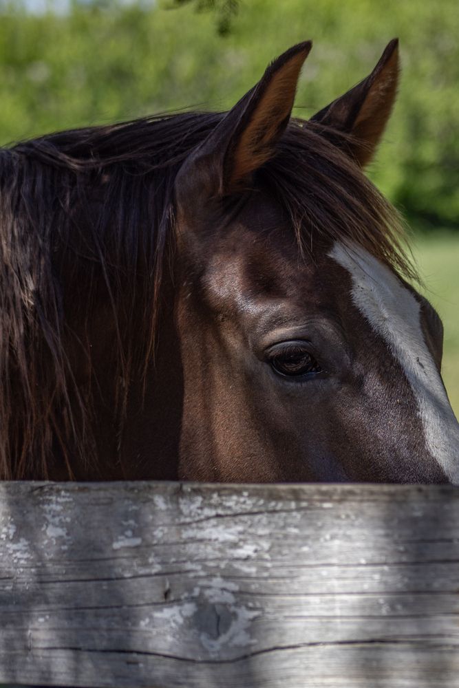 Фотография автора Victoria Mogulyan