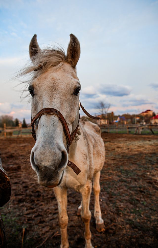 Photograph by Eugene Tsarev