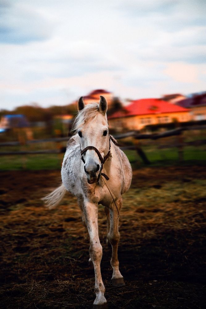 Photograph by Eugene Tsarev