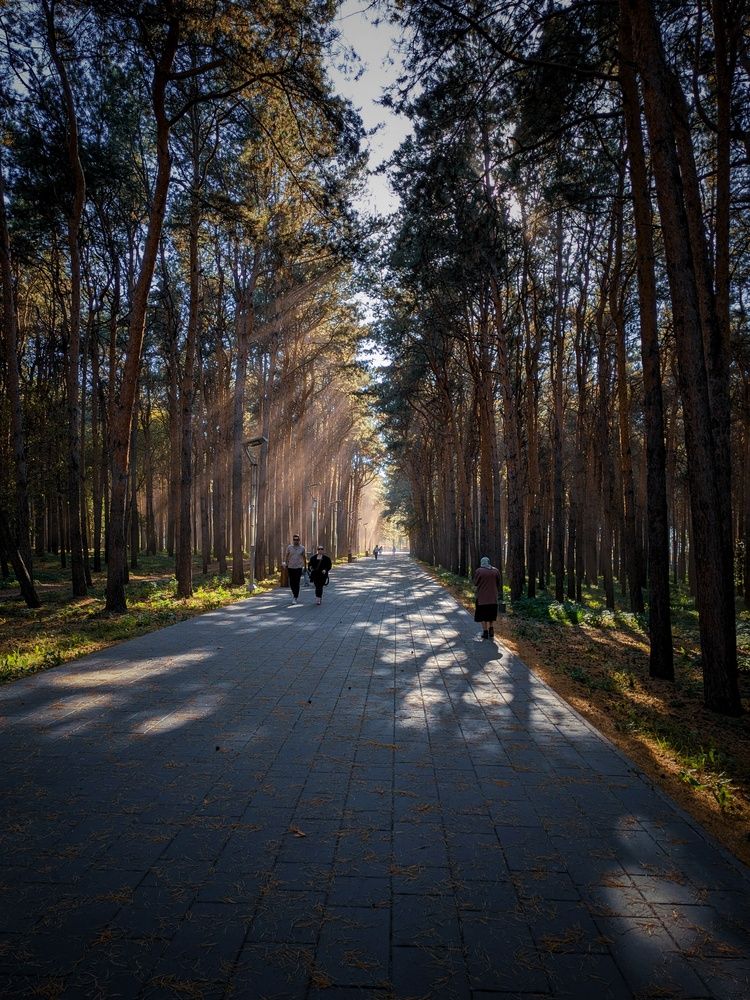 Photograph by Олега Тор