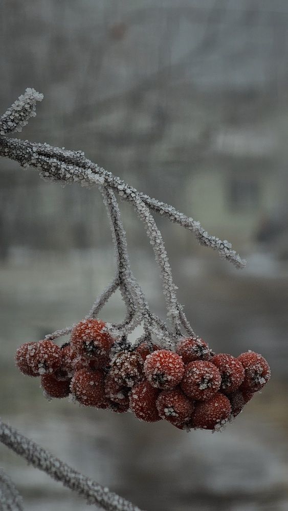 Photograph by Степан Макрушин