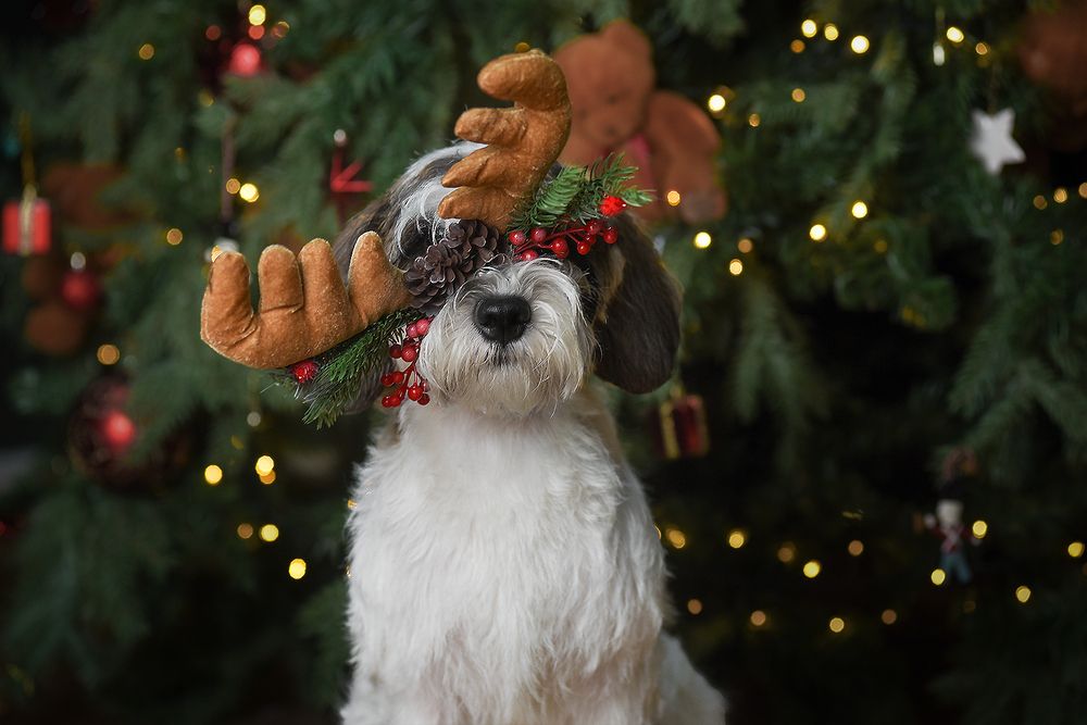 Photograph by Виктория Сафонова