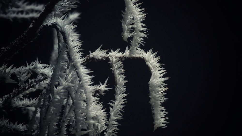 Photograph by Степан Макрушин