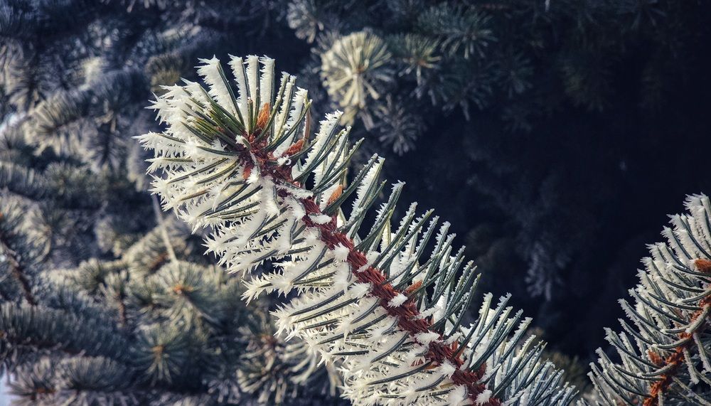 Photograph by Степан Макрушин