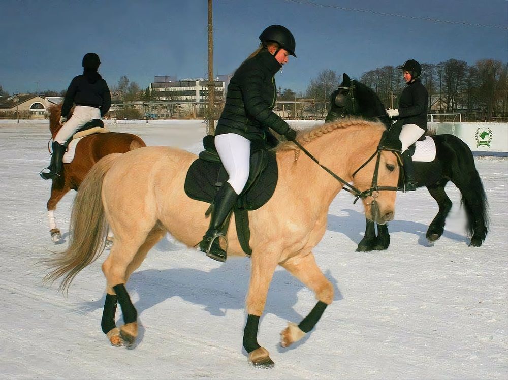 Фотография автора Zinaida Nesselmann