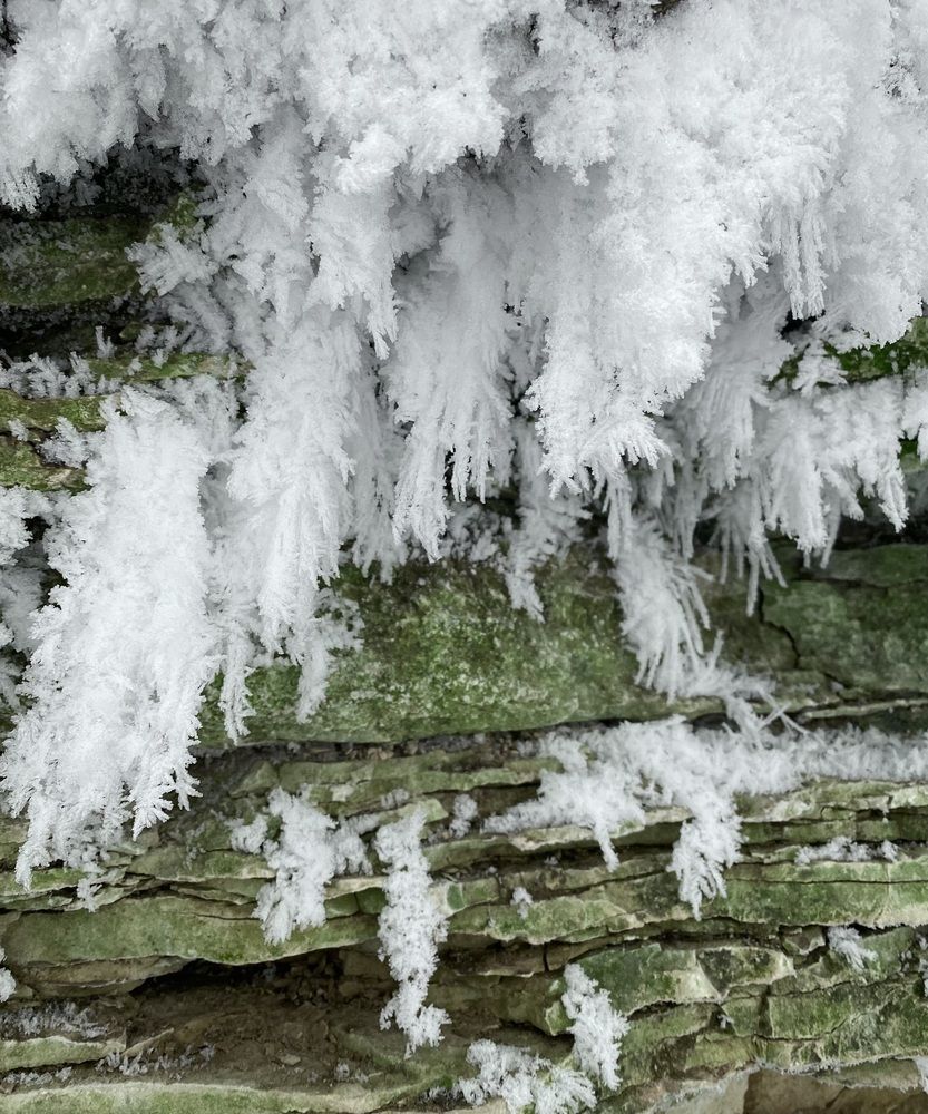 Photograph by Ксения Гулькова