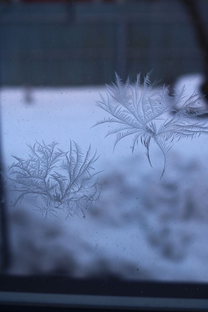 Photograph by Светлана Шуткова