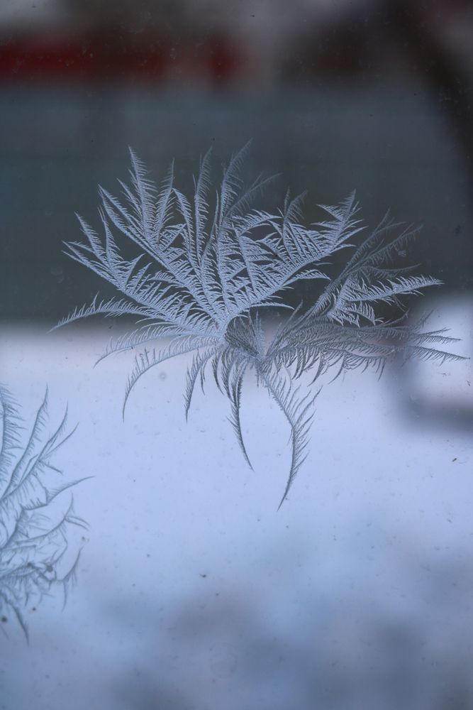 Photograph by Светлана Шуткова