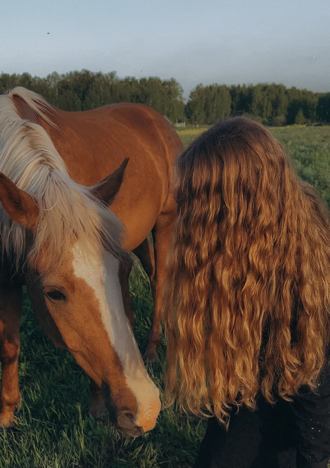 Photo #13005262