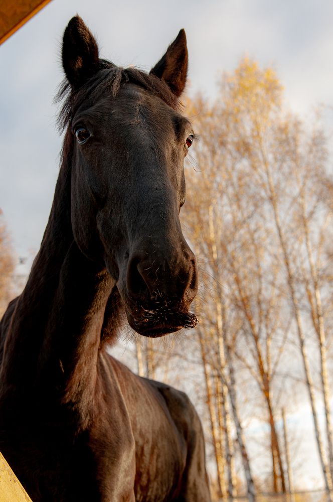 Photograph by Анастасия