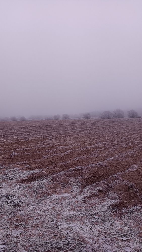 Photograph by Анна