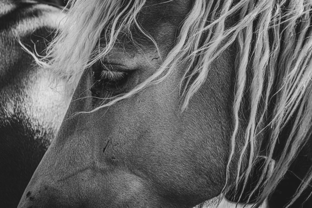 Photograph by Olga Arune