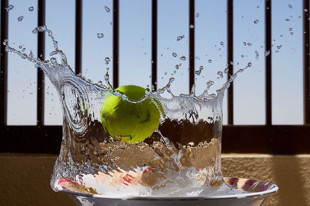 Photograph by Harish Krishnan