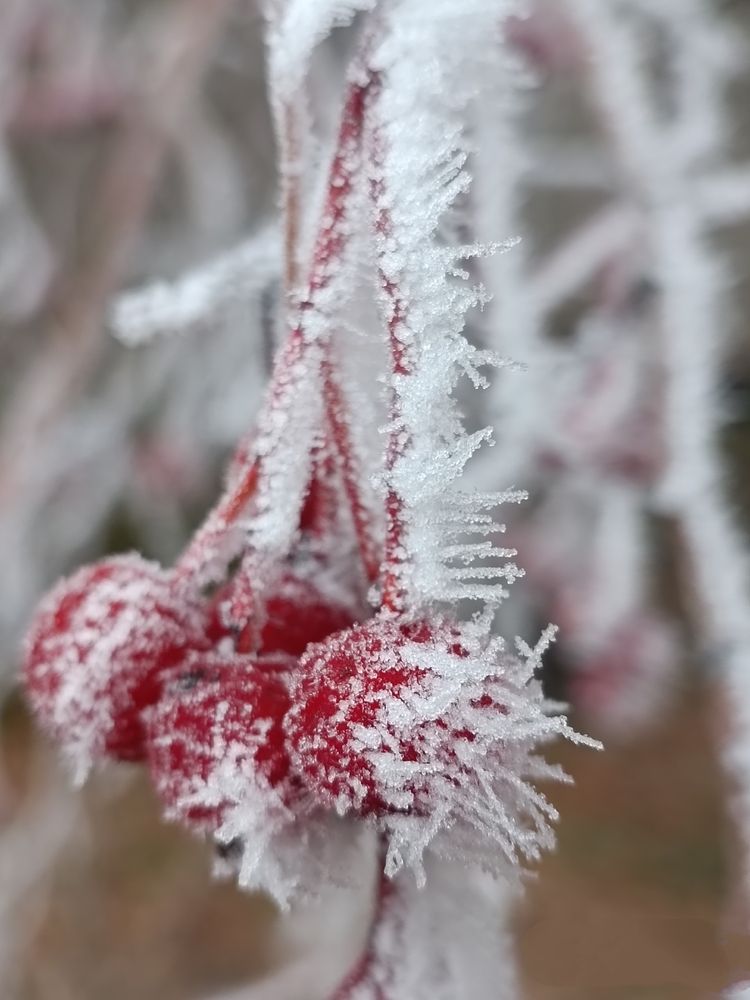 Photograph by Елена Калинина