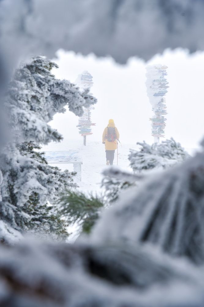 Фотография автора Иван Губский