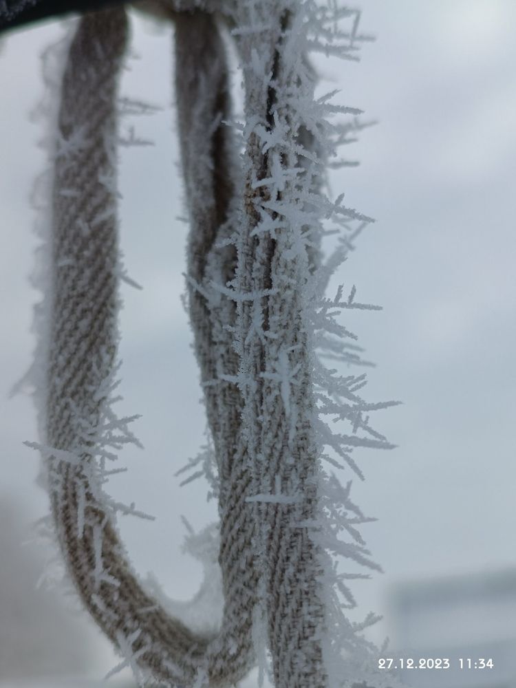 Photograph by Елена Калинина