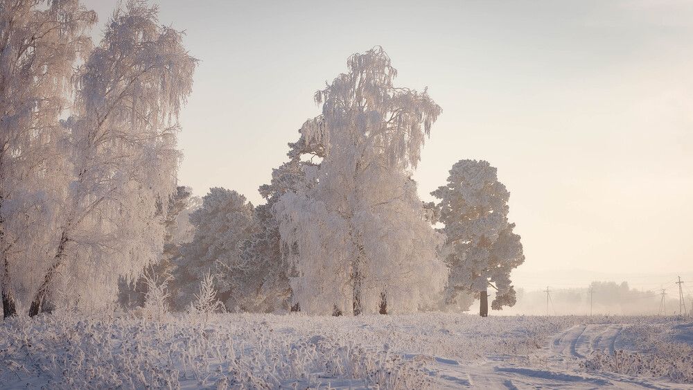 Photograph by Вадим Басов