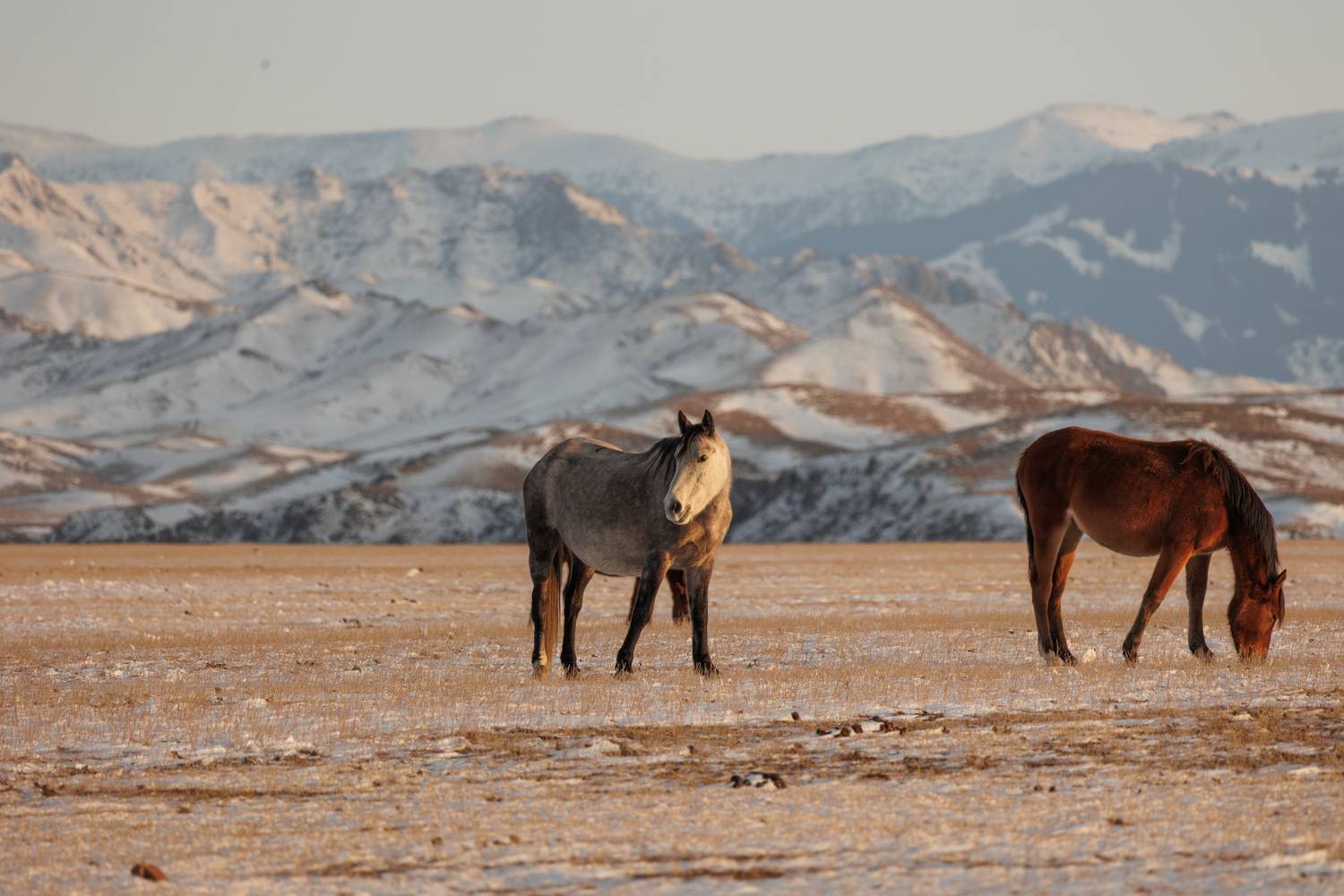 Фотография #13005362