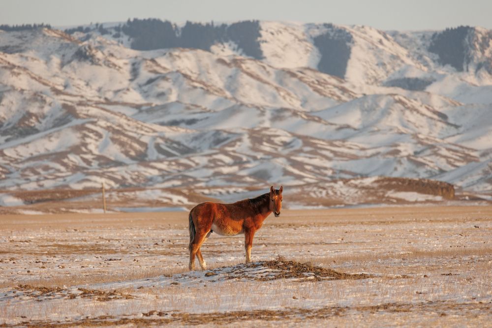 Photograph by Юлия Мальнева