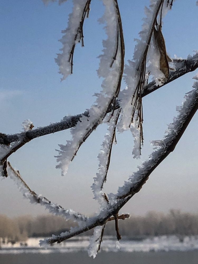 Фотография автора Светлана Гончарова