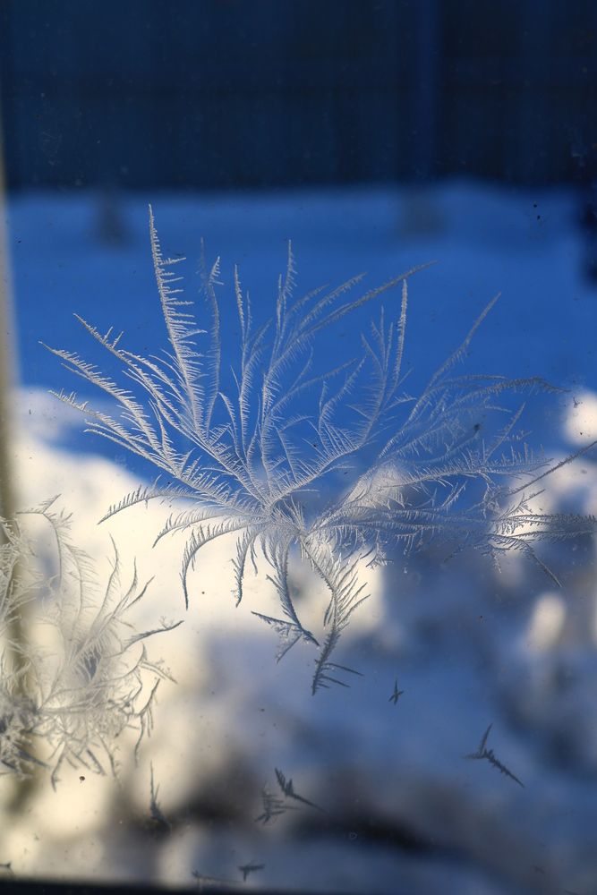 Photograph by Светлана Шуткова