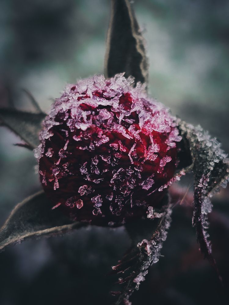 Photograph by Ирина Хлебникова