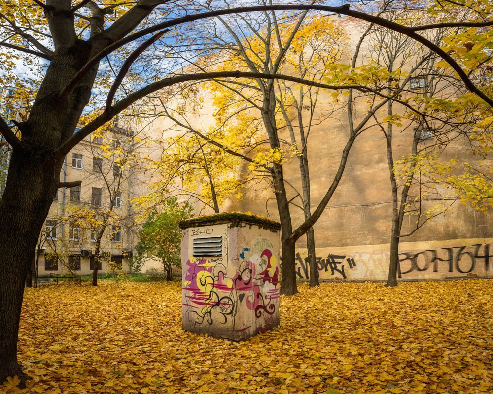 Photograph by Роман Гладкий