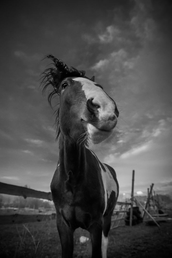 Photograph by Eugene Tsarev